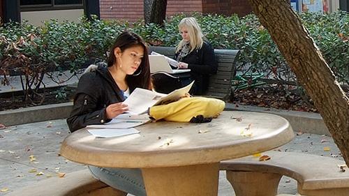 FCC Students studying in courtyard